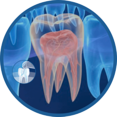 Laser Litetouch Cirurgico para endodontia