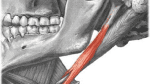 Tratamento para Síndrome de Eagle